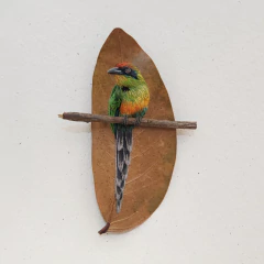 Juruva | moldura 18x18cm - comprar online