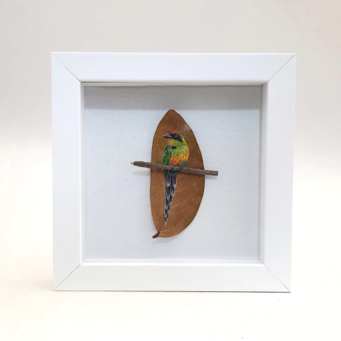 Juruva | moldura 18x18cm