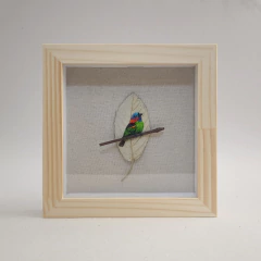 Saíra-militar | moldura 18x18cm