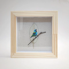 Saíra-sete-cores | moldura 18x18cm