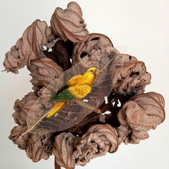 Ararajuba | moldura 24x24cm preta (sob encomenda)