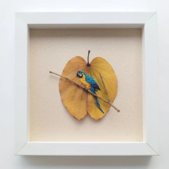 Arara-canindé | moldura 24x24cm branca - comprar online