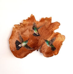 beija-flor-de-banda-branca | moldura 33x33cm preta