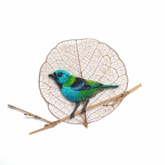 saíra-sete-cores | moldura 18x18cm branca