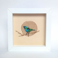 saíra-sete-cores | moldura 18x18cm branca - comprar online