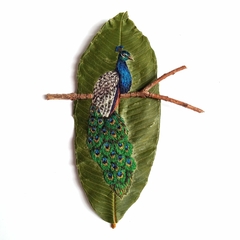 pavão | moldura preta 24x24cm