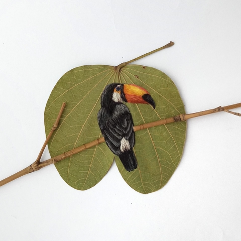 tucano-toco | moldura 18x18cm preta