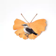 Lavadeira-mascarada | moldura 24x24cm