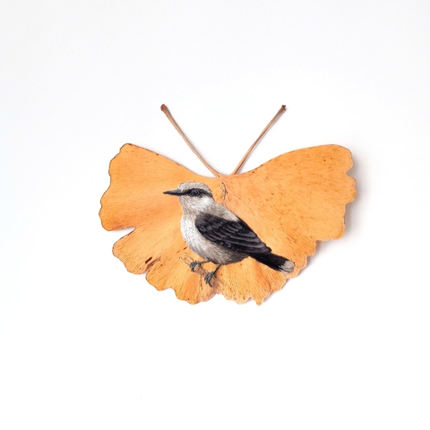 Lavadeira-mascarada | moldura 24x24cm