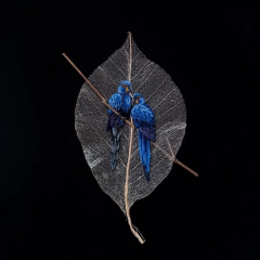 arara-azul | moldura 18x18cm