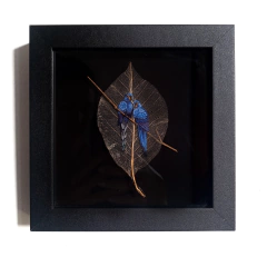 arara-azul | moldura 18x18cm - buy online
