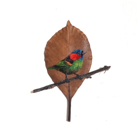 saíra-militar | moldura 18x18cm