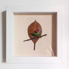 saíra-militar | moldura 18x18cm - comprar online