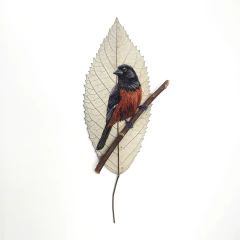 Curió | moldura 23x23cm