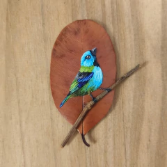 Saíra arcoíris | marco blanco 18x18 cm