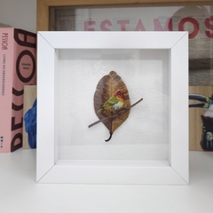 Rufous-headed Tanager | white frame 18x18 cm - buy online