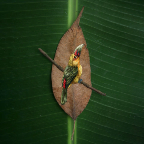 araçari-banana | moldura 18x18cm