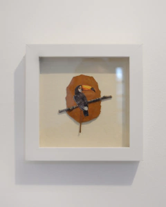 Tucano-toco | moldura 18x18cm - comprar online