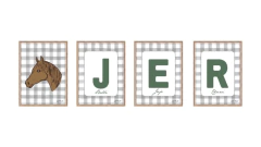 LAMINAS DE CUADROS LETRAS/ CABALLO/HERRADURA - Law&Co