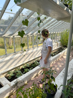 DELANTAL VICHY GALLOS y GALLINAS - Law&Co