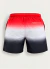 BERMUDA BROSS DEGRADE CALZA - comprar online