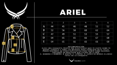Ariel Red Club & Old Bronze en internet
