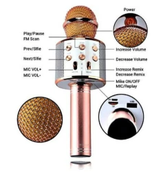 MICROFONO / PARLANTE BLUETOOTH KARAOKE WS 825 DATACELL - comprar online