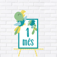 Festa Floresta Brasileira a partir de: - loja online