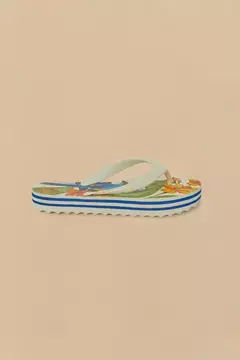 Chinelo Rainbow estampa arara - farm apé - comprar online