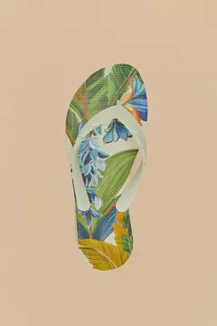 Chinelo Rainbow estampa arara - farm apé na internet