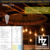 Lámparas Led Vintage 8W Luz Blanco Calido - DIMERIZABLE - comprar online