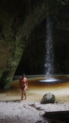 Top alcinha peônia preta - by the sea
