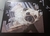 GeoPuzzles 90 Piezas Madera (Pug Carlino) Cod 9023 - Puzzlelandia