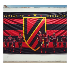 Banderas Publicitarias Promocionales Personalizadas Grandes Full Color