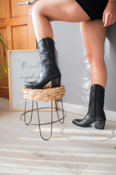 Texana New Oxford - comprar online