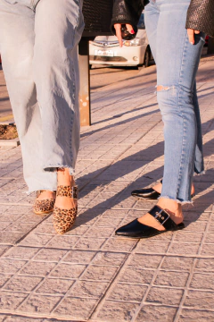 Zueco Prince en internet