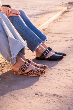 Zueco Prince en internet