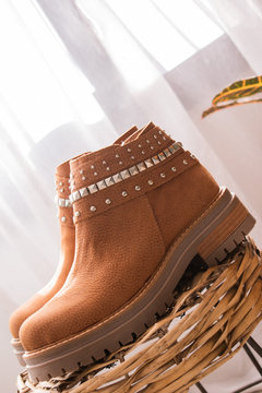 Bota Molly en internet