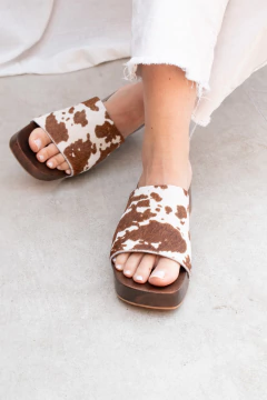 Zueco Noa en internet