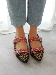 Zapato Queen en internet