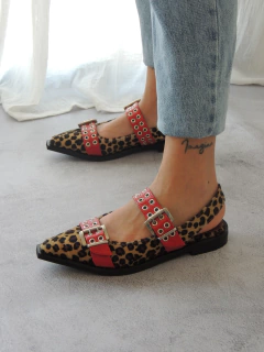 Zapato Queen en internet