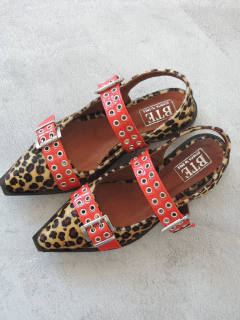 Zapato Queen en internet