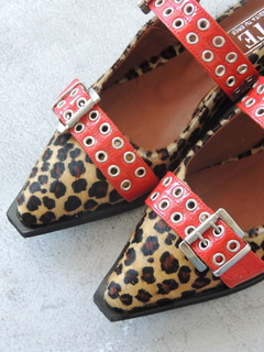 Zapato Queen - tienda online