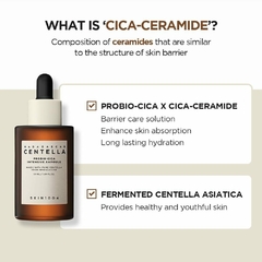 Madagascar Centella Probio Cica Intensive Ampoule Skin1004 95 Ml - Berenka Make Up