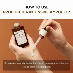 Madagascar Centella Probio Cica Intensive Ampoule Skin1004 95 Ml - comprar online