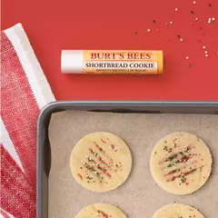 Lip Balm Shortbread Cookie Biscuit Sable - Burt's Bees - comprar online