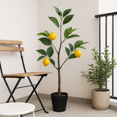 PLANTA LIMONERO - comprar online