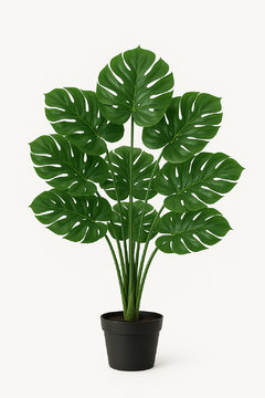 PLANTA ROMA MODELO 3 en internet