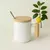 TAZA MARY BLANCA RAYADA en internet