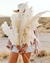 Capim dos Pampas Off White 10 Hastes